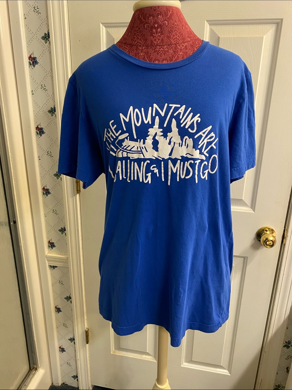 Bella Canvas Blue Short Sleeve Tee with The Mountain Are Calling Me Graphic Tee